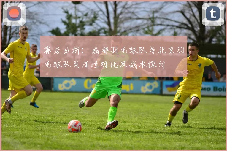 赛后分析：成都羽毛球队与北京羽毛球队灵活性对比及战术探讨