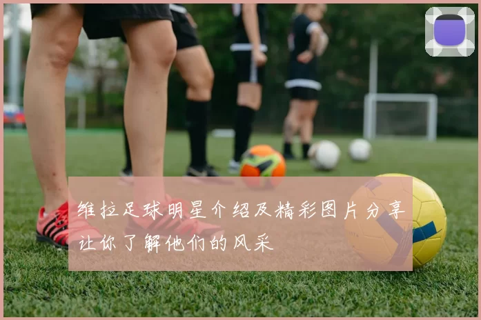 维拉足球明星介绍及精彩图片分享让你了解他们的风采